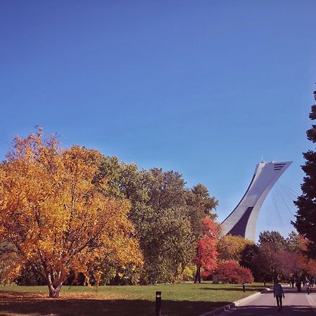 Homa Homestay Hotel By Olympic Stadium Montreal Auberge-Hostel Esterno foto