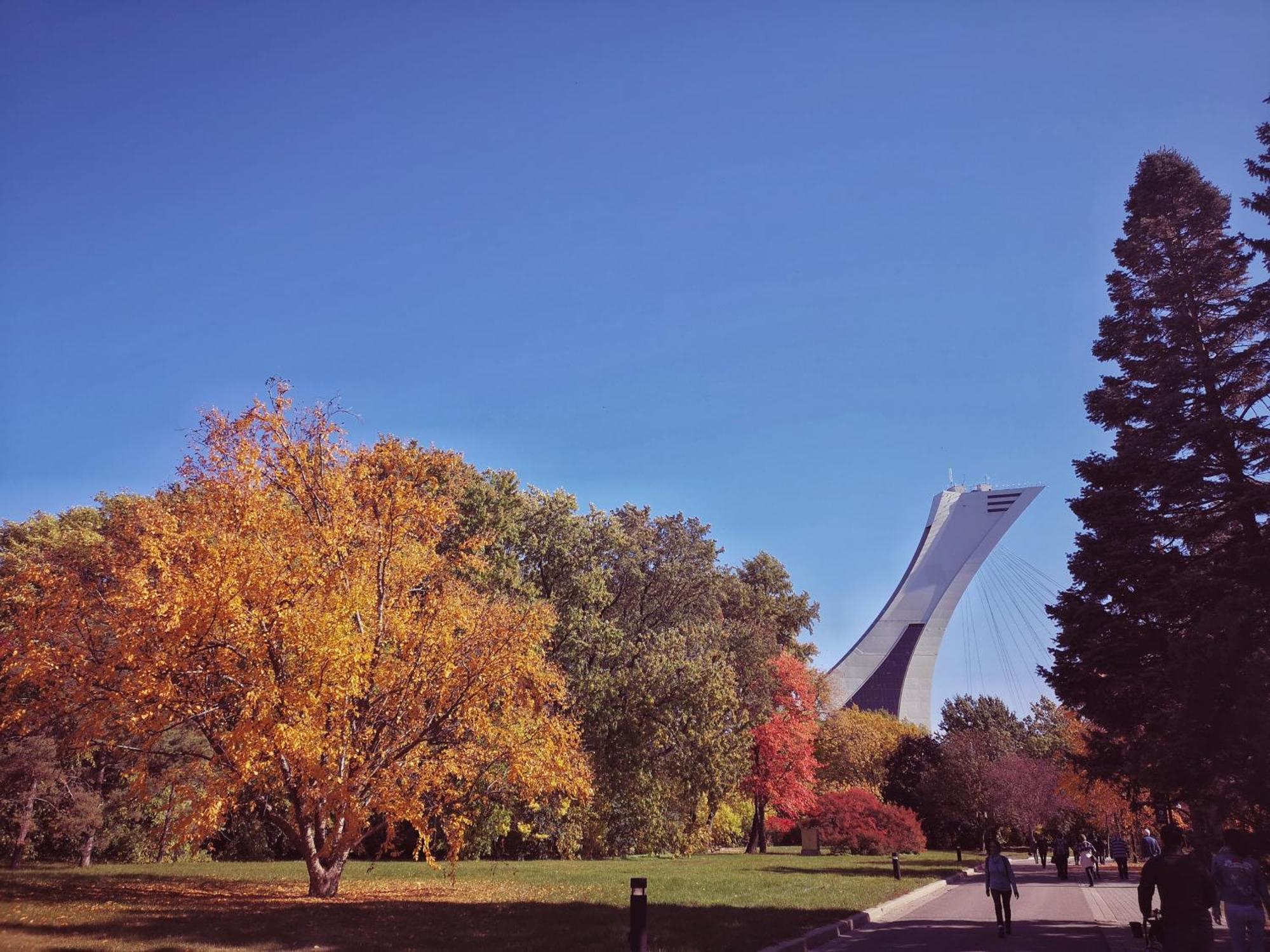 Homa Homestay Hotel By Olympic Stadium Montreal Auberge-Hostel Esterno foto